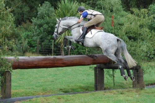 NRM Gandalf and Mark Todd at Riverdale, Rotorua